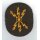 Communications Engineering Career Badge white, new Style,