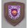 Civil Defense Insignia, various No.1, General Sleeve Patch