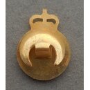 I.C.D.S. Lapel Badge