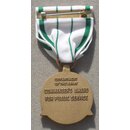 Commanders Award for Public Service