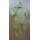 Panzeranzug, Coveralls CVC, Wasserabweisend, oliv