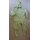 Panzeranzug, Coveralls CVC, Wasserabweisend, oliv Size4