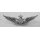 Senior Aviation  Insignia Metal, full colour, silver filled