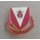 293rd Engineer Battalion DUI