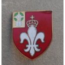 12th Field Artillery Regiment DUI