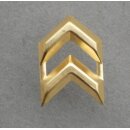 Sergeant 1st Class / Petty Officer 1st Class -...
