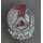 Re-Building Pin 1960-68, silver 1025c