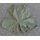 Drawers - Mens, Cotton, Thigh Length, OG-107