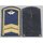 Shoulder Boards, Aeroflot, Jacket & Great Coat, Aircrew
