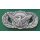 Security Police Qualification, USAF Metal, subdued