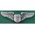 Flight Surgeon, USAF Metall, farbig, Silberanteil