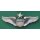 Senior Pilot, USAF embroidered, subdued on camouflage, new
