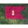 Ordnance Corps Guidon