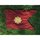 Transportation Corps Guidon