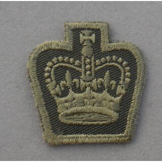 Dienstrang, Field Service Dress Warrant Officer