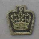 Dienstrang, Field Service Dress Warrant Officer