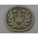 Dienstrang, Field Service Dress Warrant Officer