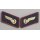 Red Collar Patches of the German Railways of the GDR
