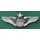 Senior Pilot, USAF