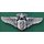 Chief Flight Nurse, USAF
