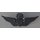 Master Aviation  Insignia