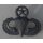 Master Parachutist Badge