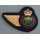 Air Defense Technician