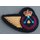 Stationary Engineer