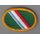 11th Special Forces Group