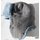 Winter Fur Cap, Land & Air Forces, Enlisted