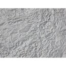 Special Topographical Map