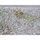 Special Topographical Map