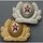 Air Force Cap Badge