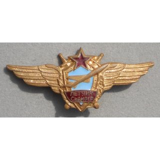 Master Pilots Badge
