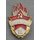 Young Pioneer Badges with Levels
