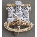 Devonshire & Dorset Regiment