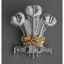 The Royal Regiment of Wales