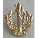 Navy Rank Insignia, 1951-2001, Metal