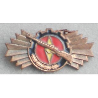 Badge for good premilitary and technical Knowledge, bronze