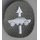 Reconnaisance Career Badge