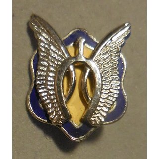 17th Cavalry DUI