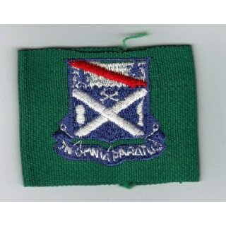 Leadership Tabs, 18th Infantry