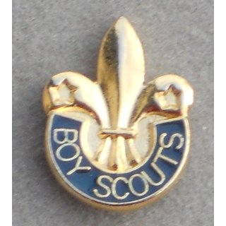 Boy Scouts Pin, large