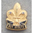 Boy Scouts Pin, small