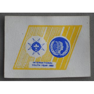 International Youth Year 1985 Patch