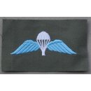 Para Jump Wings