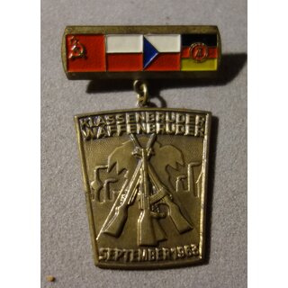 Brothers in Class - Brothers in Arms 1962 Maneuver Badge