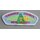 Tamarack Council BSA Patch