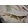 ECWCS Regenjacke, PTFE- Laminat, 3-Colour Desert Camouflage