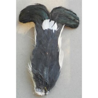 Scottish Regiments Black Cock Feathers